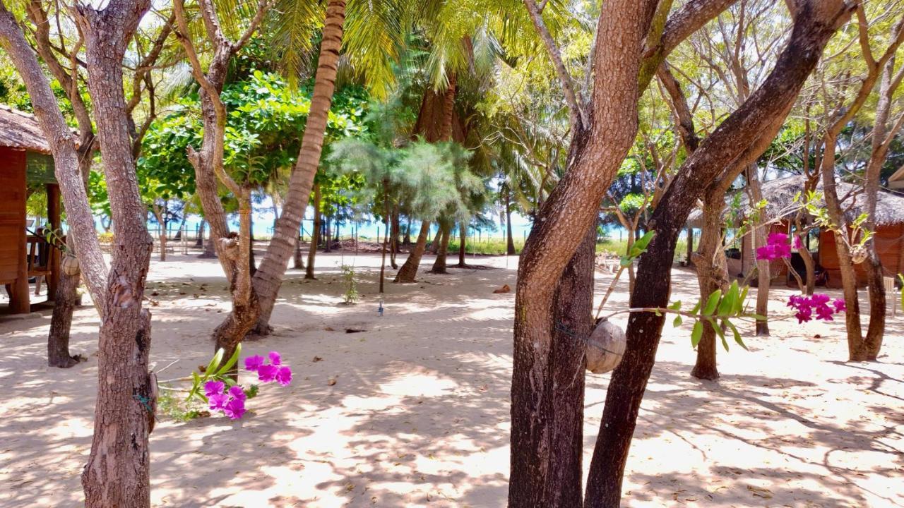 Cocoville Passikudah المظهر الخارجي الصورة