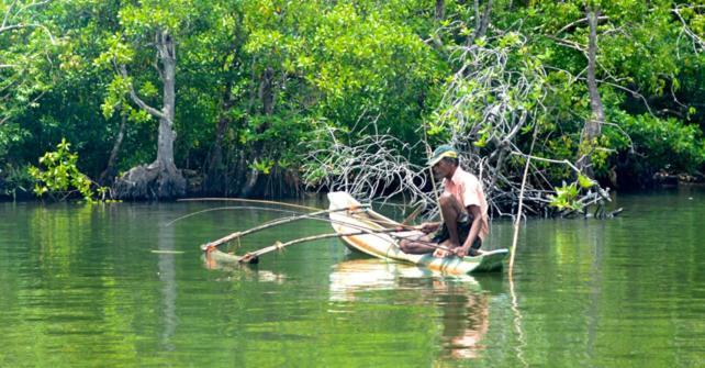 Cocoville Passikudah المظهر الخارجي الصورة