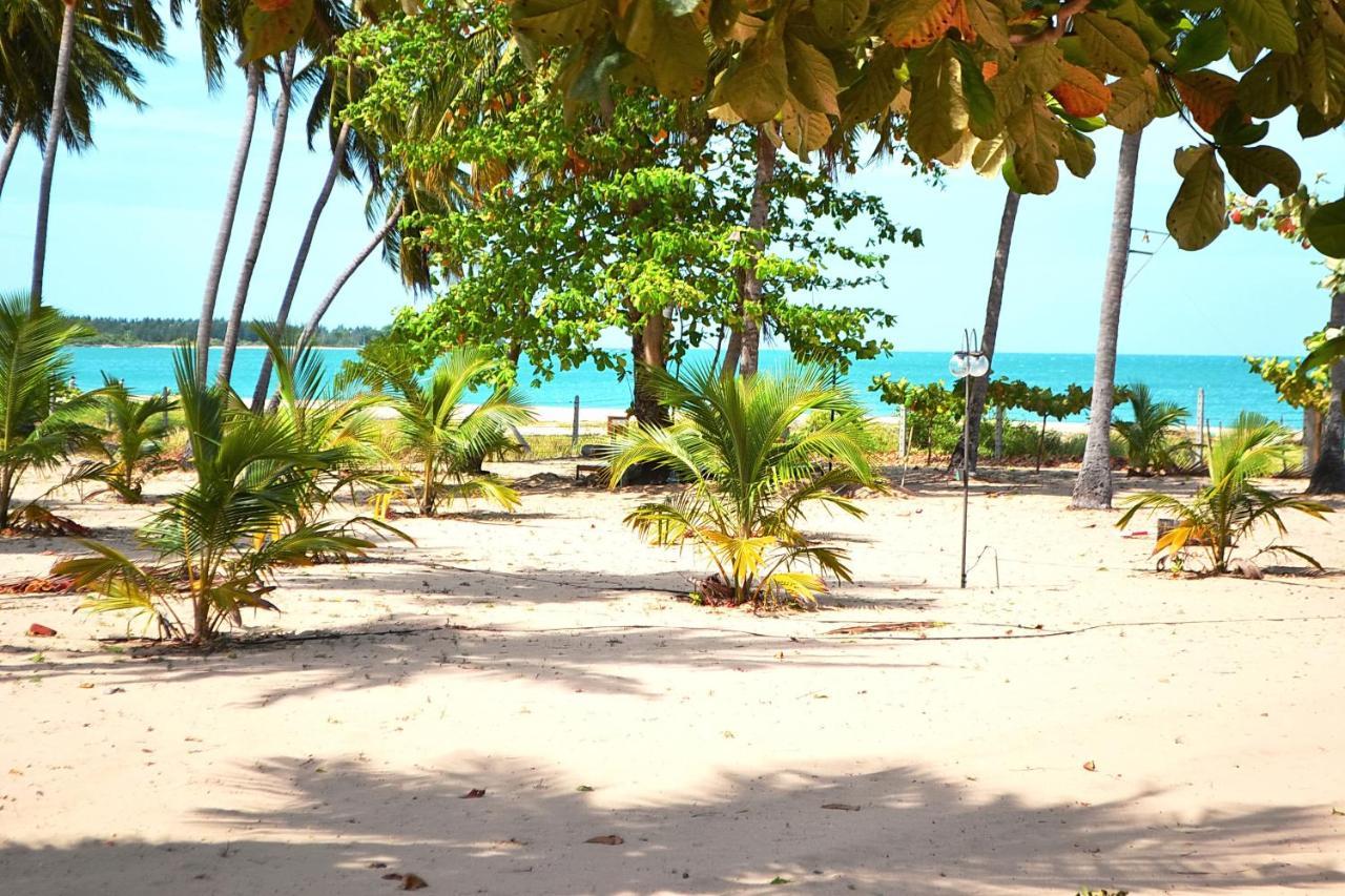 Cocoville Passikudah المظهر الخارجي الصورة